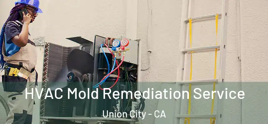  HVAC Mold Remediation Service Union City - CA