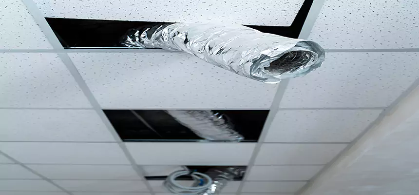 Our Air Duct Pet Hair Removal Services in Union City, CA