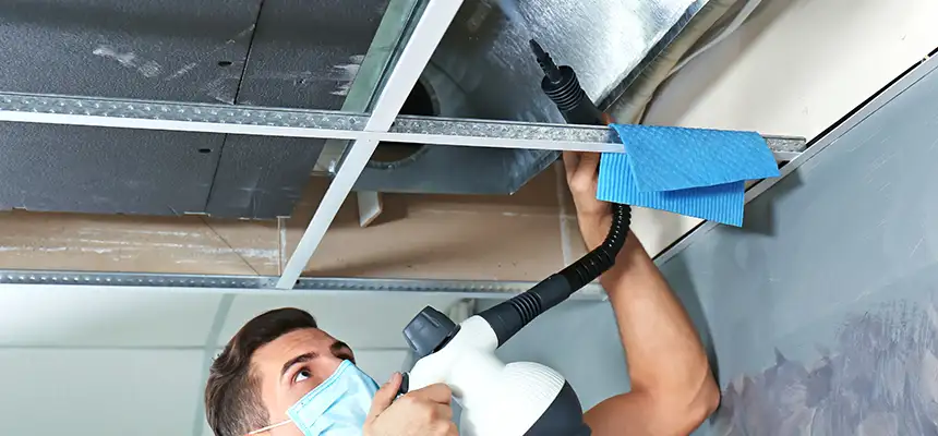 Our Air Duct Rodent Removal Services in Union City, CA