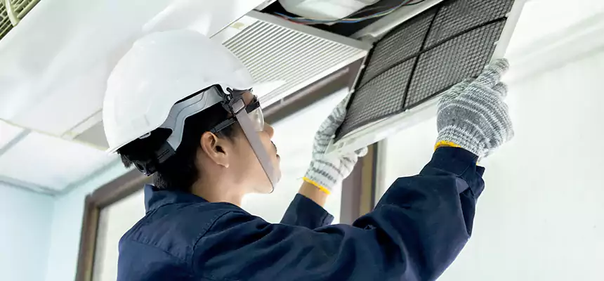 Our Mold & Mildew Removal from Air Ducts Services in Union City, CA