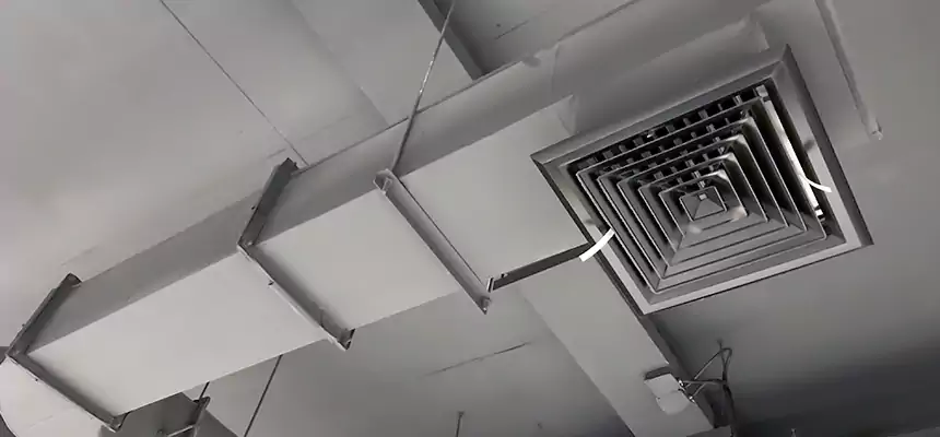 Our Pest Removal From Ducts Services in Union City, CA