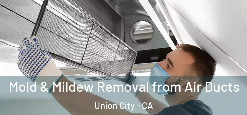  Mold & Mildew Removal from Air Ducts Union City - CA