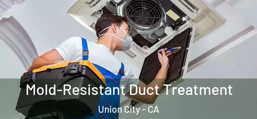  Mold-Resistant Duct Treatment Union City - CA