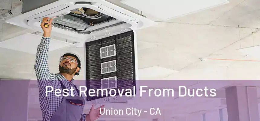  Pest Removal From Ducts Union City - CA