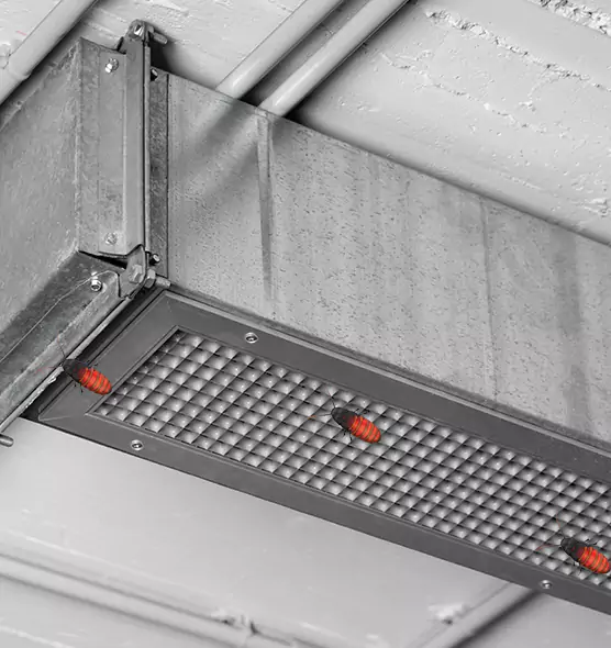 About Air Duct Cockroach Removal in Union City, CA