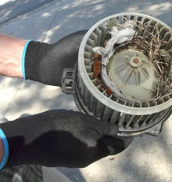 About Air Duct Mice Removal in Union City, CA