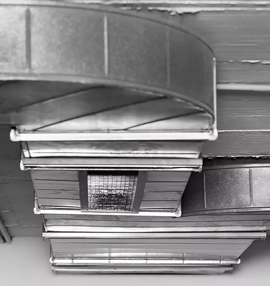 Professional Air Duct Pest Removal in Union City, CA