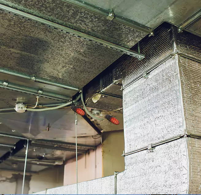 Why Homeowners & Businesses Trust Us in Union City, CA?