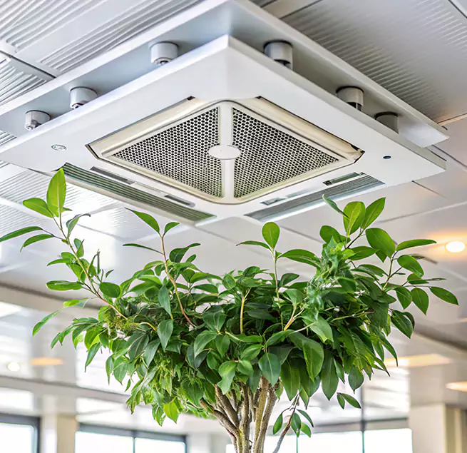 Why Homeowners & Businesses Trust Us in Union City, CA?