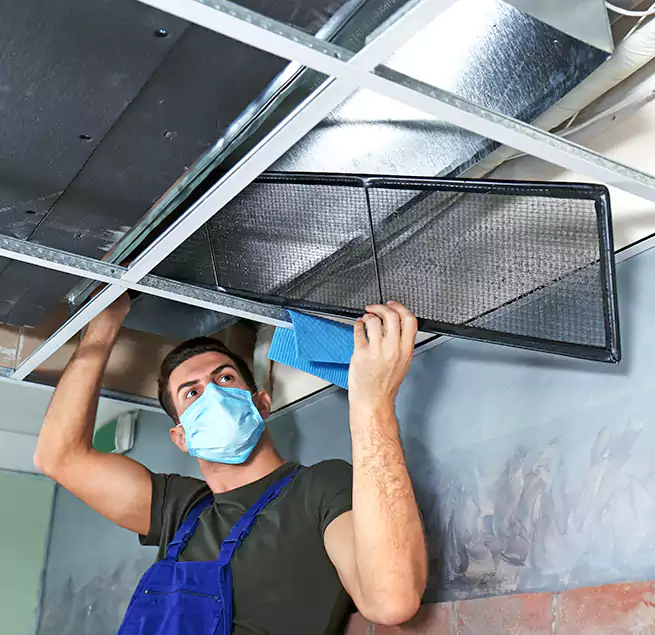 Why Homeowners Businesses Trust Us in Union City, CA